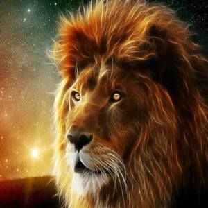 Meet your Posher, Johnnie